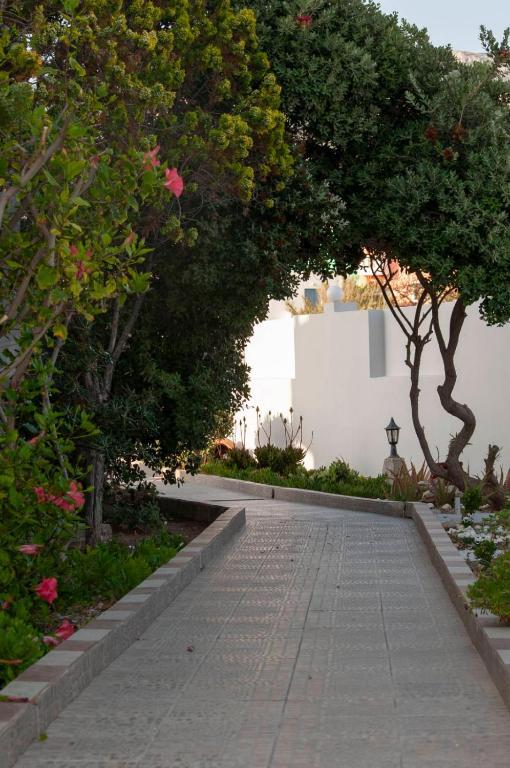 Arkasa Bay Hotel المظهر الخارجي الصورة